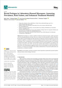 Virgilio_2024_MDPI_laboratories_Rectal prolapse
